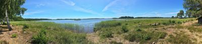 Naturreservat Nötön Aspergarden