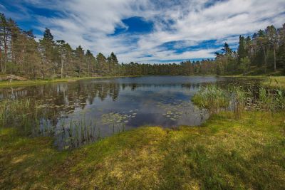 Nationalpark Tresticklan