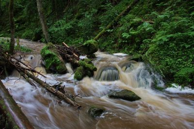 Der Lotenbach