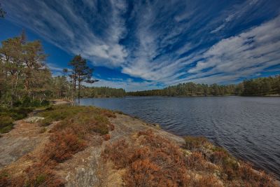 Nationalpark Tresticklan