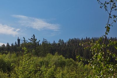 Waldwege