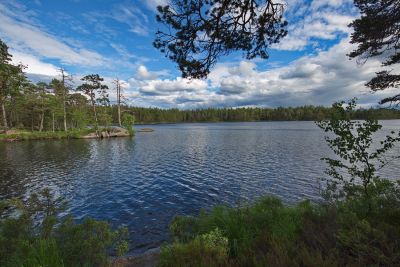 Tyresta Nationalpark