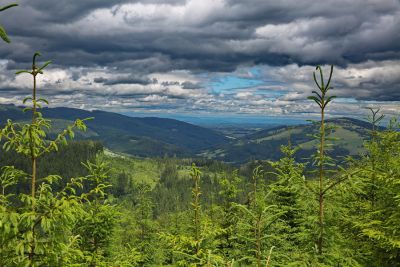 Dunkle Wolken
