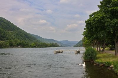 Mosel bei Bullay