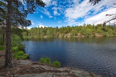 Tyresta Nationalpark