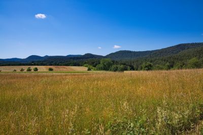 Napoleonsteig