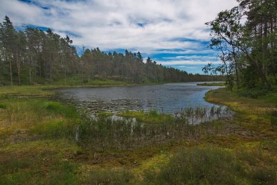 Nationalpark Tresticklan