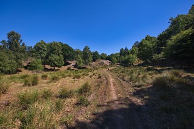 Naturreservat Kullaberg