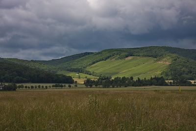 Wiesen und Wein