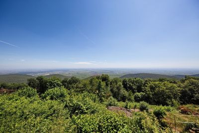 Aussicht vom Kalmit