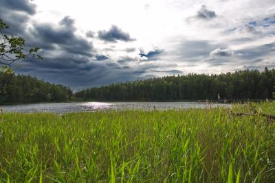 Tyresta Nationalpark