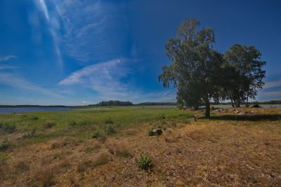 Naturreservat Nötön Aspergarden