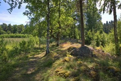 Naturreservat Nötön Aspergarden