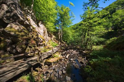 Nationalpark Söderasen