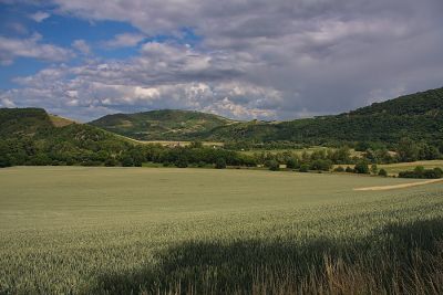 Das Nahetal bei Disibodenberg
