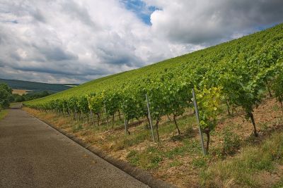 Zwischen Röttingen und Tauberrettersheim