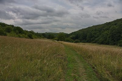 Steyerbachtal