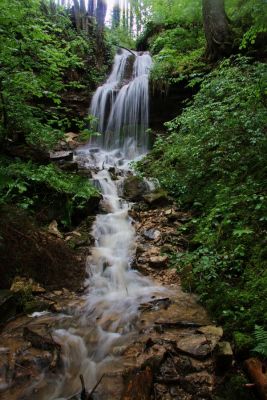 In der Wutachschlucht