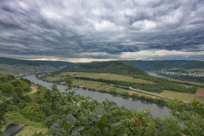 Zell-Barl