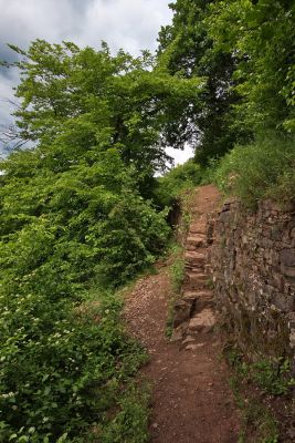 Treppchen
