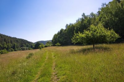 Napoleonsteig