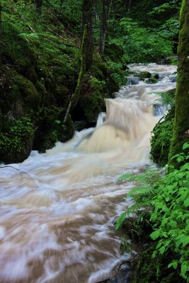 Einstieg Lotenbachklamm