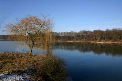 Winterstimmung