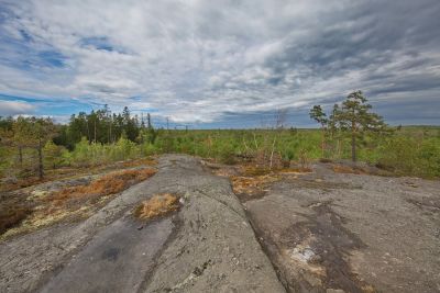 Tyresta Nationalpark