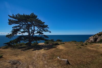 Naturreservat Kullaberg