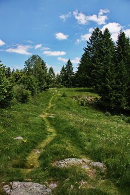 Wiesenweg