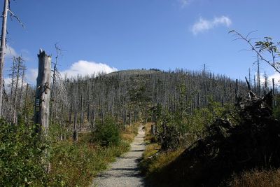 Lusenansicht