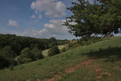 Ausblick ins Tal