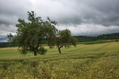 Zwischen Unteroestheim und Schnelldorf