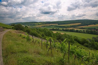 Zwischen Röttingen und Tauberrettersheim