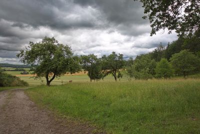 Zwischen Unteroestheim und Schnelldorf