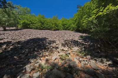 Nationalpark Söderasen