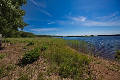 Naturreservat Nötön Aspergarden