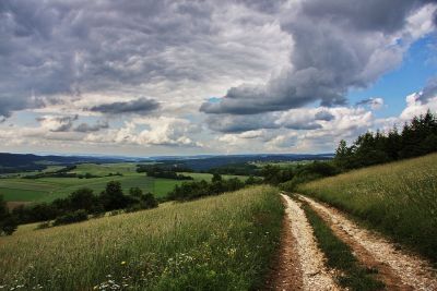 Wildwiesen