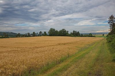 Zwischen Colmberg und Wildbad