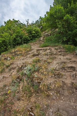 Abstieg vom Calmont