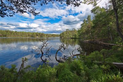 Tyresta Nationalpark