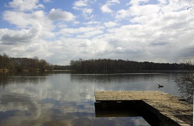 Sonniger See