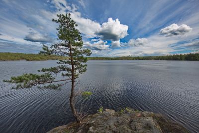 Tyresta Nationalpark