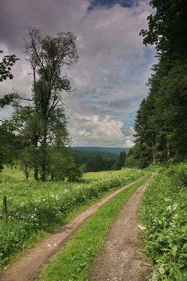 Schwendetal