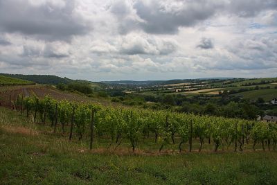 Blick ins Tal