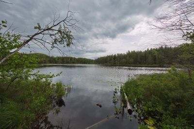 Tyresta Nationalpark