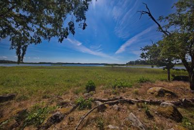 Naturreservat Nötön Aspergarden