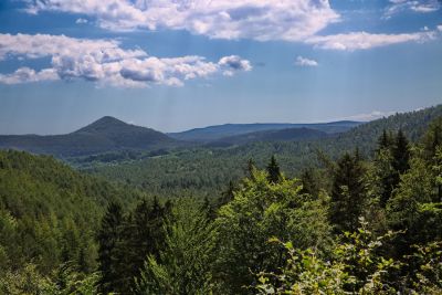 Napoleonsteig