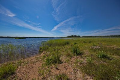 Naturreservat Nötön Aspergarden