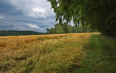 Zwischen Colmberg und Wildbad